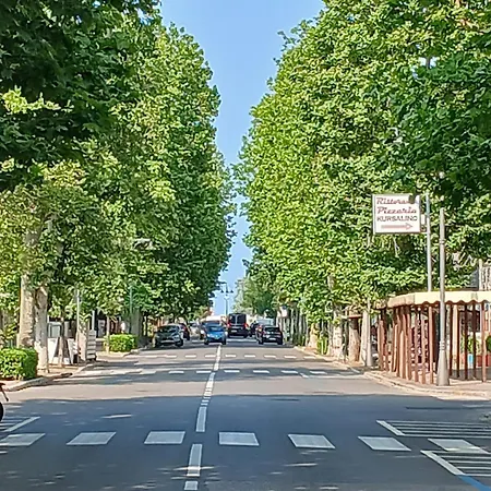 Lägenhet Cn021 - Cesenatico, Bilocale Con Corte In Posizione