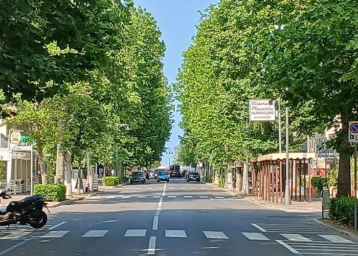 Lägenhet Cn021 - Cesenatico, Bilocale Con Corte In Posizione